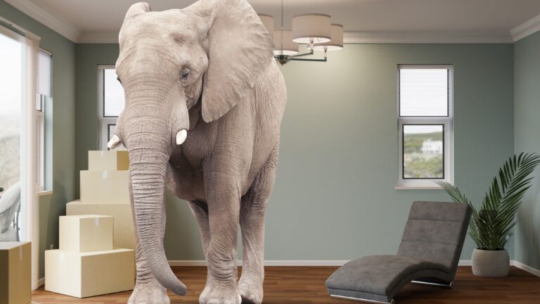 The elephant in the room at Newcastle United